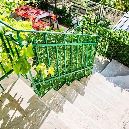 Luxury Villa Minerva Gardens سبليت المظهر الخارجي الصورة